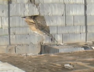 BAPATLA GRANITE QUARRY
