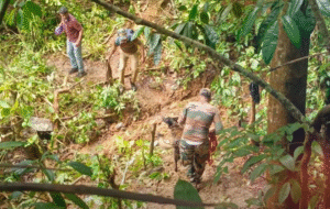 DHARMASTHALA MISSING CASES