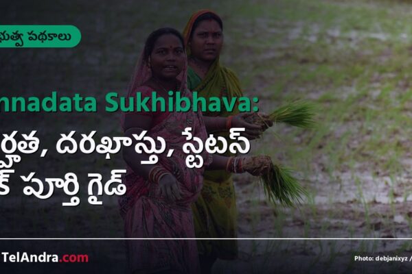 Annadata Sukhibhava: అర్హత, దరఖాస్తు, స్టేటస్ చెక్ పూర్తి గైడ్