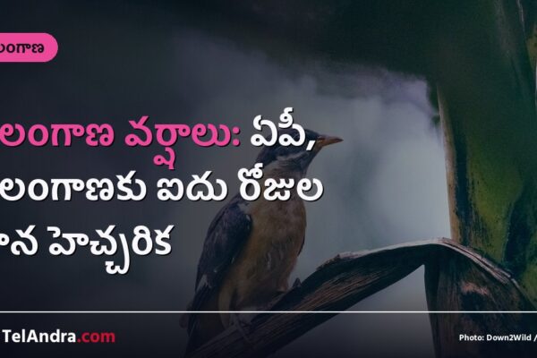 తెలంగాణ వర్షాలు: ఏపీ, తెలంగాణకు ఐదు రోజుల వాన హెచ్చరిక
