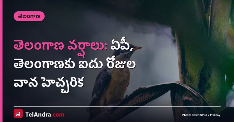 తెలంగాణ వర్షాలు: ఏపీ, తెలంగాణకు ఐదు రోజుల వాన హెచ్చరిక