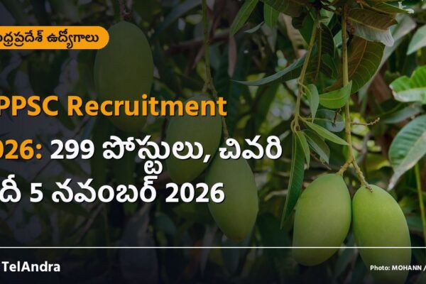 APPSC Recruitment 2026: 299 పోస్టులు, చివరి తేదీ 5 నవంబర్ 2026