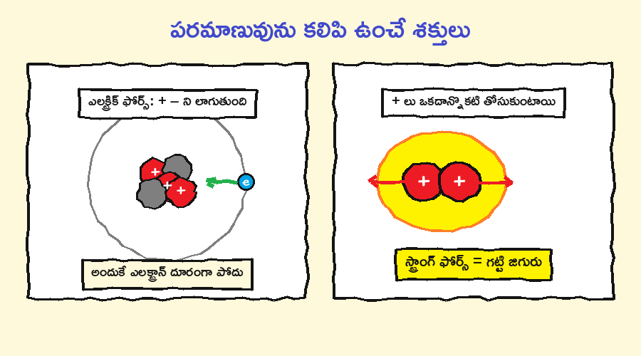 ఎలక్ట్రిక్ ఫోర్స్ ఎలక్ట్రాన్లను లాగి ఉంచుతుంది, స్ట్రాంగ్ ఫోర్స్ కేంద్రకాన్ని కలిపి ఉంచుతుంది