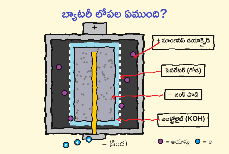 బ్యాటరీ లోపల — మధ్యలో జింక్, చుట్టూ మాంగనీస్ డయాక్సైడ్, మధ్యలో సెపరేటర్ గోడ