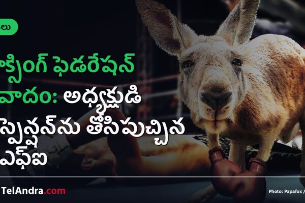 బాక్సింగ్ ఫెడరేషన్ వివాదం: అధ్యక్షుడి సస్పెన్షన్‌ను తోసిపుచ్చిన బీఎఫ్ఐ