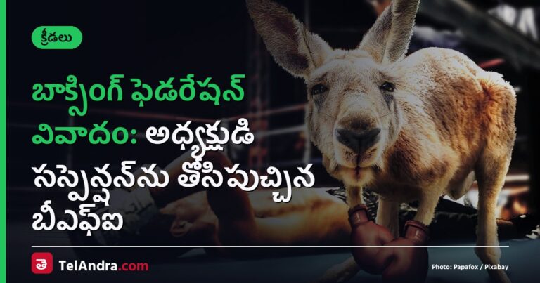 బాక్సింగ్ ఫెడరేషన్ వివాదం: అధ్యక్షుడి సస్పెన్షన్‌ను తోసిపుచ్చిన బీఎఫ్ఐ