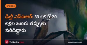 ఢిల్లీ ఎస్ఐఆర్: 33 లక్షల్లో 20 లక్షల ఓటరు తప్పులు సరిదిద్దారు