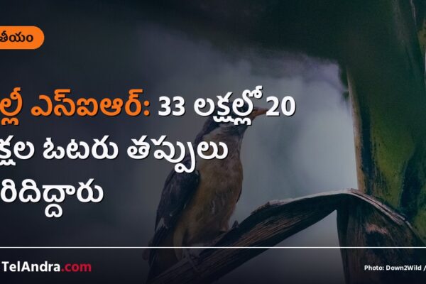 ఢిల్లీ ఎస్ఐఆర్: 33 లక్షల్లో 20 లక్షల ఓటరు తప్పులు సరిదిద్దారు