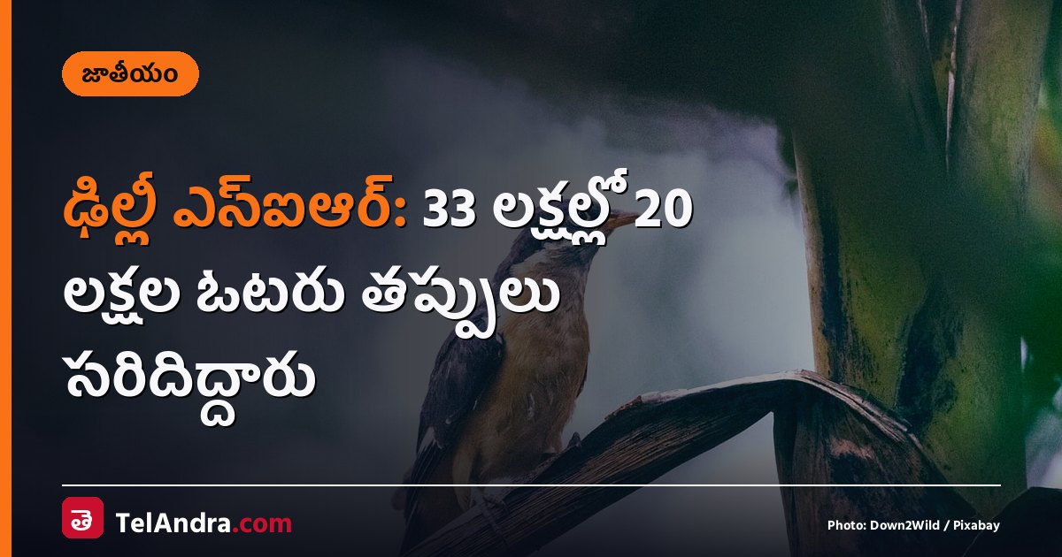 ఢిల్లీ ఎస్ఐఆర్: 33 లక్షల్లో 20 లక్షల ఓటరు తప్పులు సరిదిద్దారు