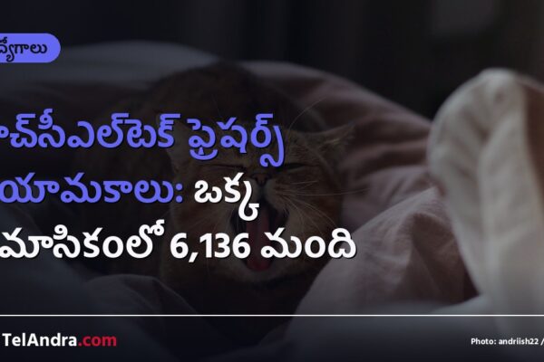 హెచ్‌సీఎల్‌టెక్ ఫ్రెషర్స్ నియామకాలు: ఒక్క త్రైమాసికంలో 6,136 మంది