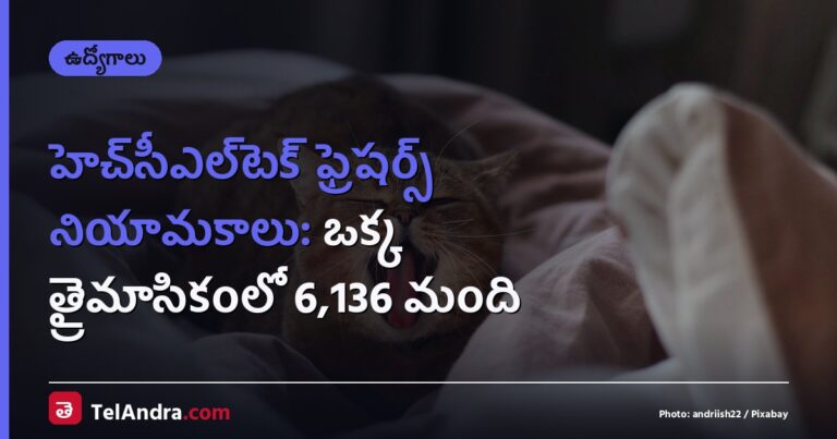 హెచ్‌సీఎల్‌టెక్ ఫ్రెషర్స్ నియామకాలు: ఒక్క త్రైమాసికంలో 6,136 మంది