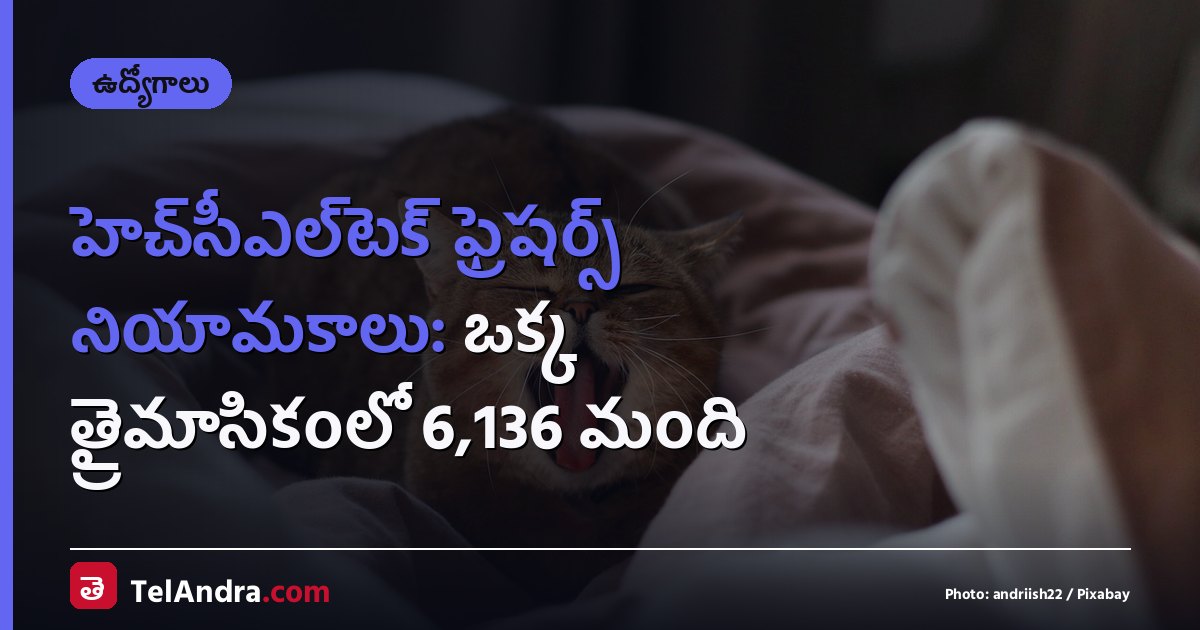 హెచ్‌సీఎల్‌టెక్ ఫ్రెషర్స్ నియామకాలు: ఒక్క త్రైమాసికంలో 6,136 మంది