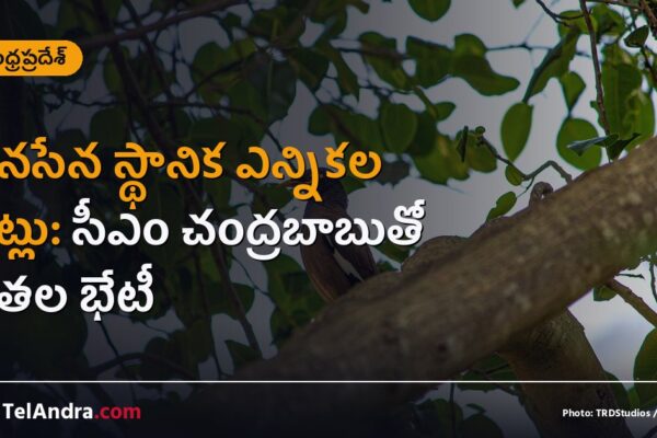 జనసేన స్థానిక ఎన్నికల సీట్లు: సీఎం చంద్రబాబుతో నేతల భేటీ