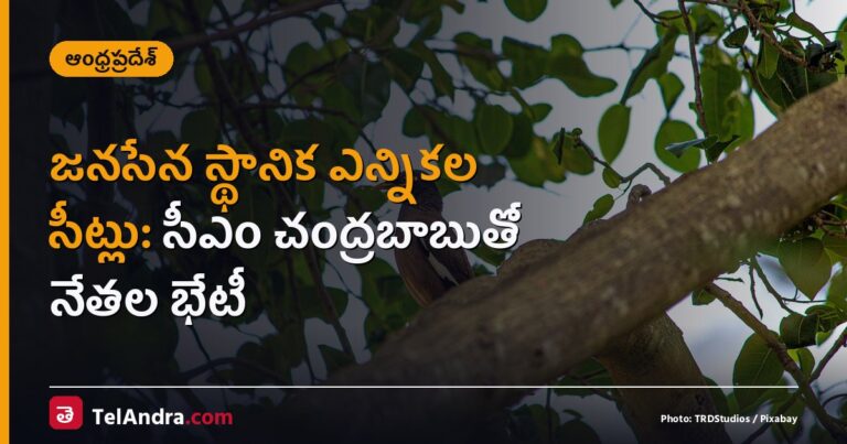 జనసేన స్థానిక ఎన్నికల సీట్లు: సీఎం చంద్రబాబుతో నేతల భేటీ