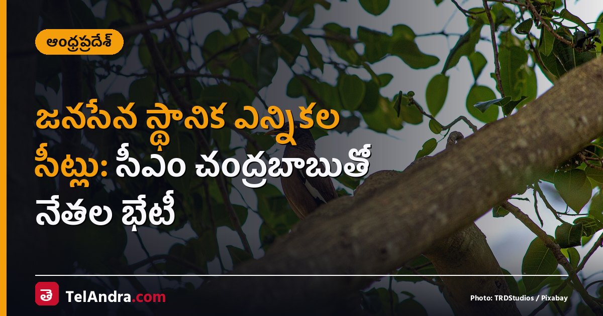 జనసేన స్థానిక ఎన్నికల సీట్లు: సీఎం చంద్రబాబుతో నేతల భేటీ
