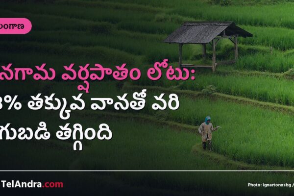 జనగామ వర్షపాతం లోటు: 28% తక్కువ వానతో వరి దిగుబడి తగ్గింది
