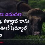 జనవరి 12 విడుదల: వెంకటేష్, కళ్యాణ్ రామ్ సినిమా ఊటీ షెడ్యూల్ ప్రారంభం