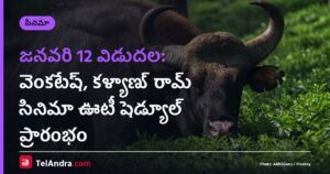 జనవరి 12 విడుదల: వెంకటేష్, కళ్యాణ్ రామ్ సినిమా ఊటీ షెడ్యూల్ ప్రారంభం