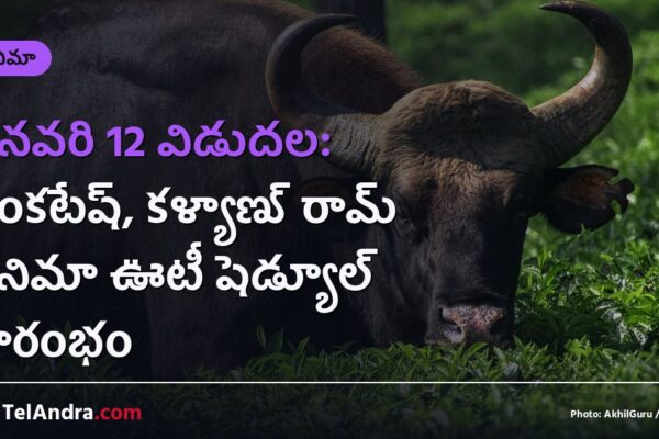 జనవరి 12 విడుదల: వెంకటేష్, కళ్యాణ్ రామ్ సినిమా ఊటీ షెడ్యూల్ ప్రారంభం