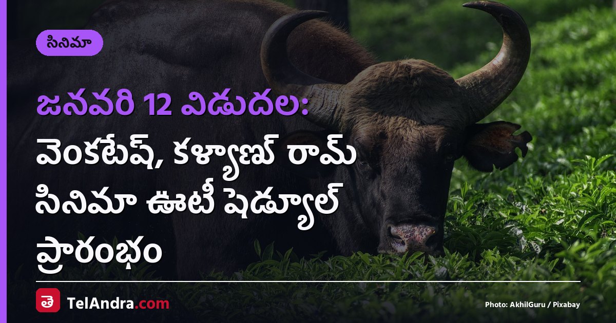 జనవరి 12 విడుదల: వెంకటేష్, కళ్యాణ్ రామ్ సినిమా ఊటీ షెడ్యూల్ ప్రారంభం