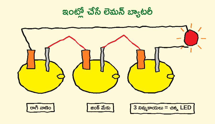 మూడు నిమ్మకాయలు, రాగి నాణేలు, జింక్ మేకులు — ఇంట్లో తయారైన బ్యాటరీ