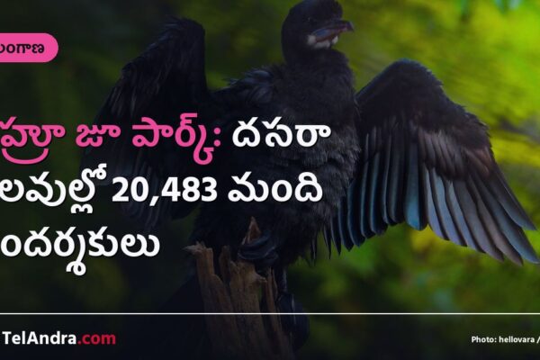 నెహ్రూ జూ పార్క్: దసరా సెలవుల్లో 20,483 మంది సందర్శకులు