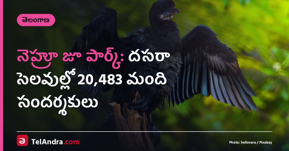 నెహ్రూ జూ పార్క్: దసరా సెలవుల్లో 20,483 మంది సందర్శకులు