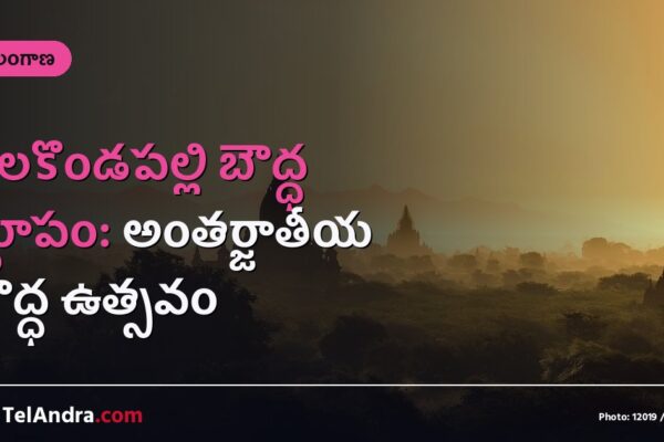 నేలకొండపల్లి బౌద్ధ స్థూపం: అంతర్జాతీయ బౌద్ధ ఉత్సవం