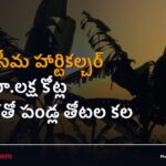 రాయలసీమ హార్టికల్చర్ హబ్: రూ.లక్ష కోట్ల ప్రణాళికతో పండ్ల తోటల కల