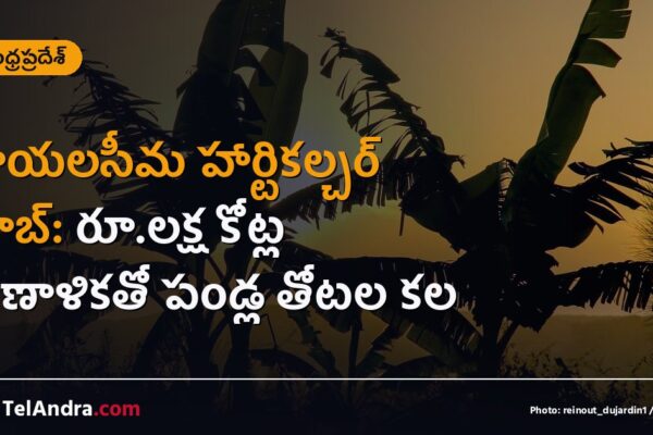 రాయలసీమ హార్టికల్చర్ హబ్: రూ.లక్ష కోట్ల ప్రణాళికతో పండ్ల తోటల కల