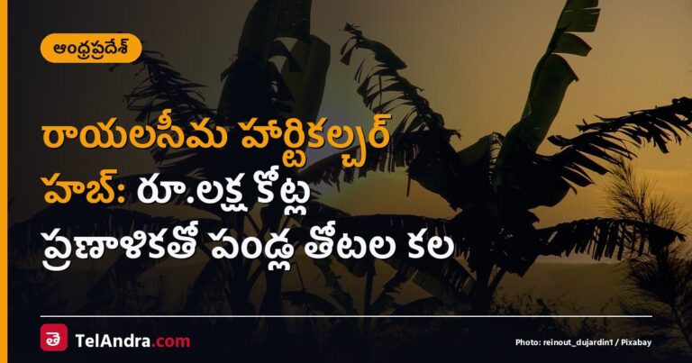 రాయలసీమ హార్టికల్చర్ హబ్: రూ.లక్ష కోట్ల ప్రణాళికతో పండ్ల తోటల కల
