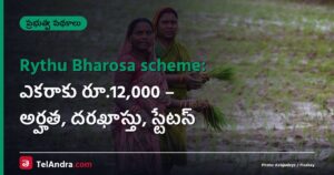 Rythu Bharosa scheme: ఎకరాకు రూ.12,000 – అర్హత, దరఖాస్తు, స్టేటస్