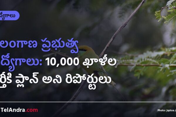 తెలంగాణ ప్రభుత్వ ఉద్యోగాలు: 10,000 ఖాళీల భర్తీకి ప్లాన్ అని రిపోర్టులు