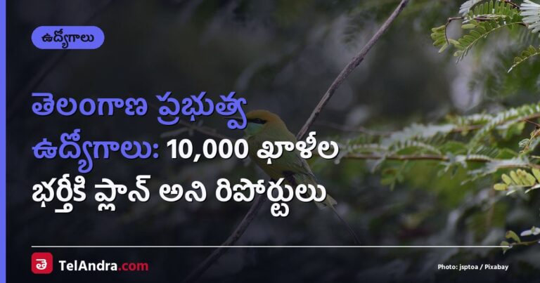 తెలంగాణ ప్రభుత్వ ఉద్యోగాలు: 10,000 ఖాళీల భర్తీకి ప్లాన్ అని రిపోర్టులు