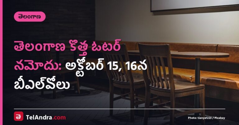తెలంగాణ కొత్త ఓటర్ నమోదు: అక్టోబర్ 15, 16న బీఎల్‌వోలు