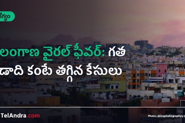 తెలంగాణ వైరల్ ఫీవర్: గత ఏడాది కంటే తగ్గిన కేసులు