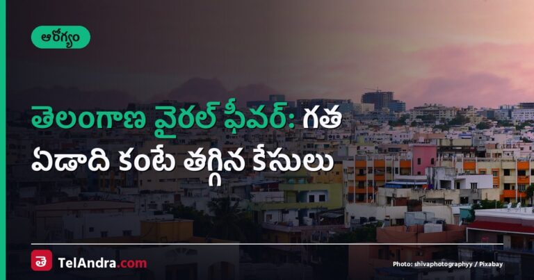 తెలంగాణ వైరల్ ఫీవర్: గత ఏడాది కంటే తగ్గిన కేసులు