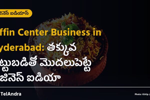 Tiffin Center Business in Hyderabad: తక్కువ పెట్టుబడితో మొదలుపెట్టే బిజినెస్ ఐడియా